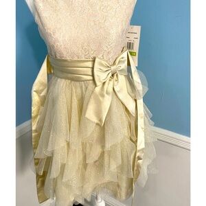 NWT Rare Editions sequined dress for girls size 14